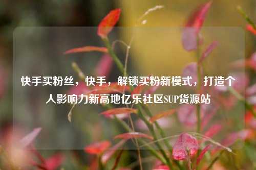 快手买粉丝	，快手，解锁买粉新模式，打造个人影响力新高地亿乐社区SUP货源站  第1张